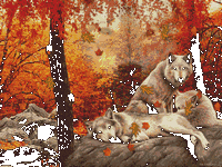 pic for WOLF  
